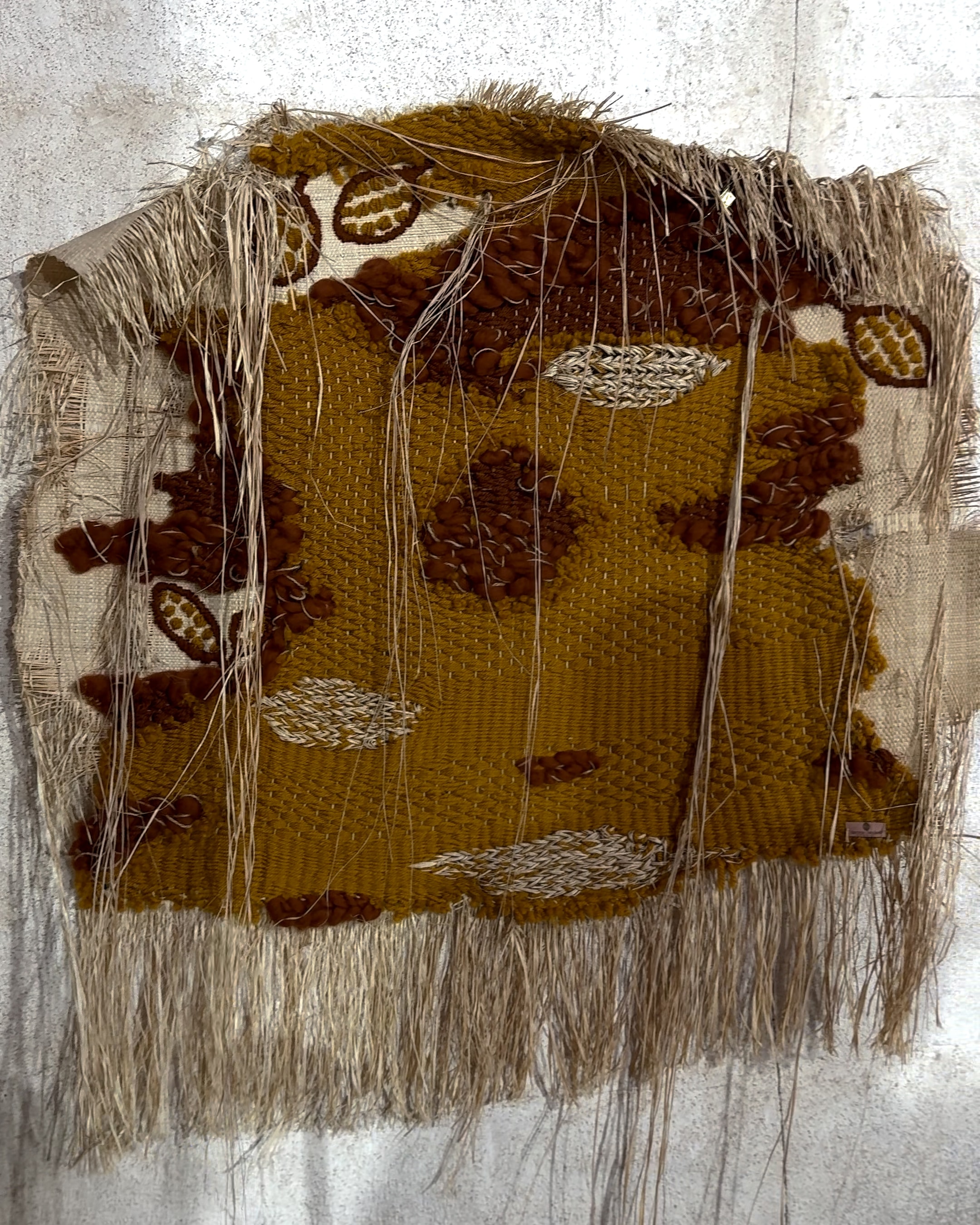 Brazil Exhibition Artwork