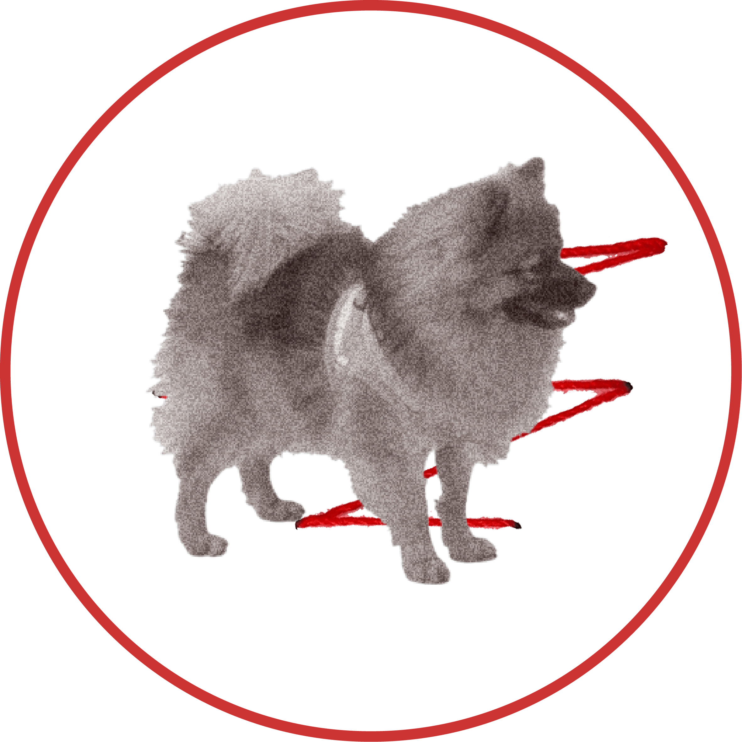 Family & Pet-Friendly Weekend