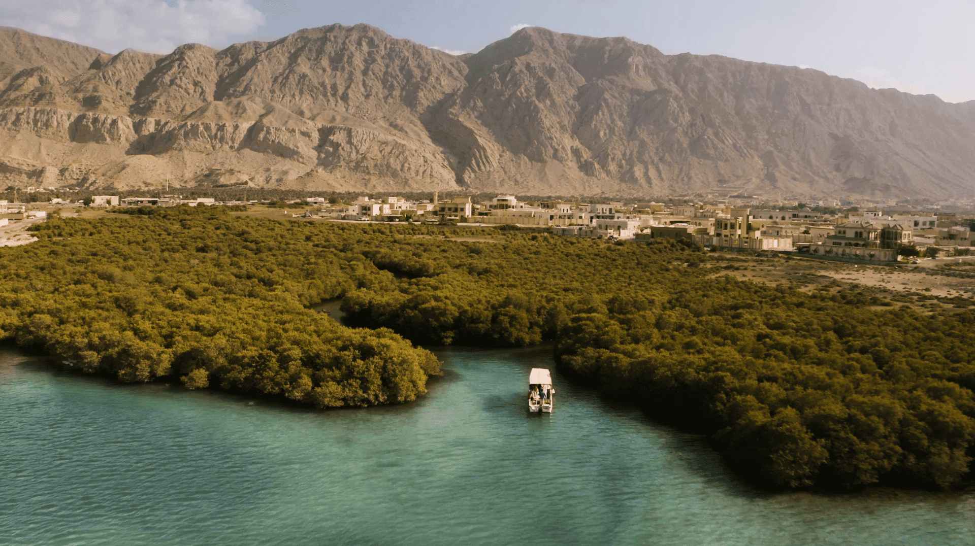 Aerial view of the Ras Al Khaimah mangroves and mountains