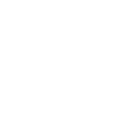 04_VOX_PRIMARY_MARQUE_WHITE
