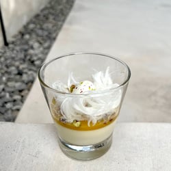 Vanilla Panna Cotta