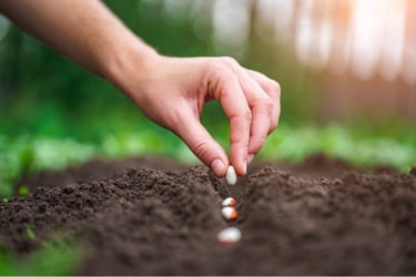 Traditional Agriculture